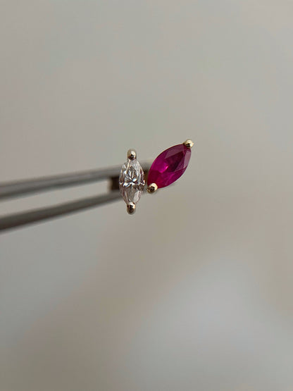 The Marquise