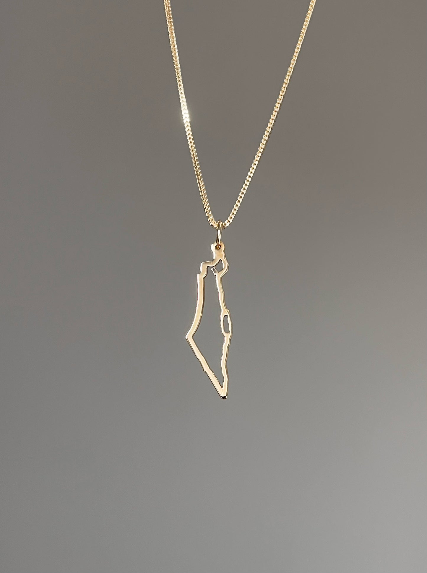 Stand With Israel 14k Gold Necklace