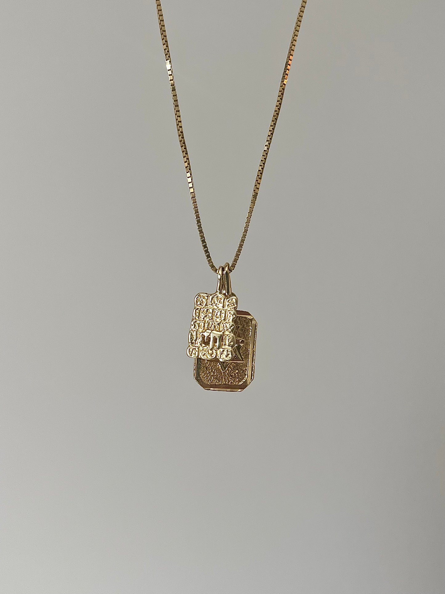 Chai on the western wall & star of david 14k Gold Necklace