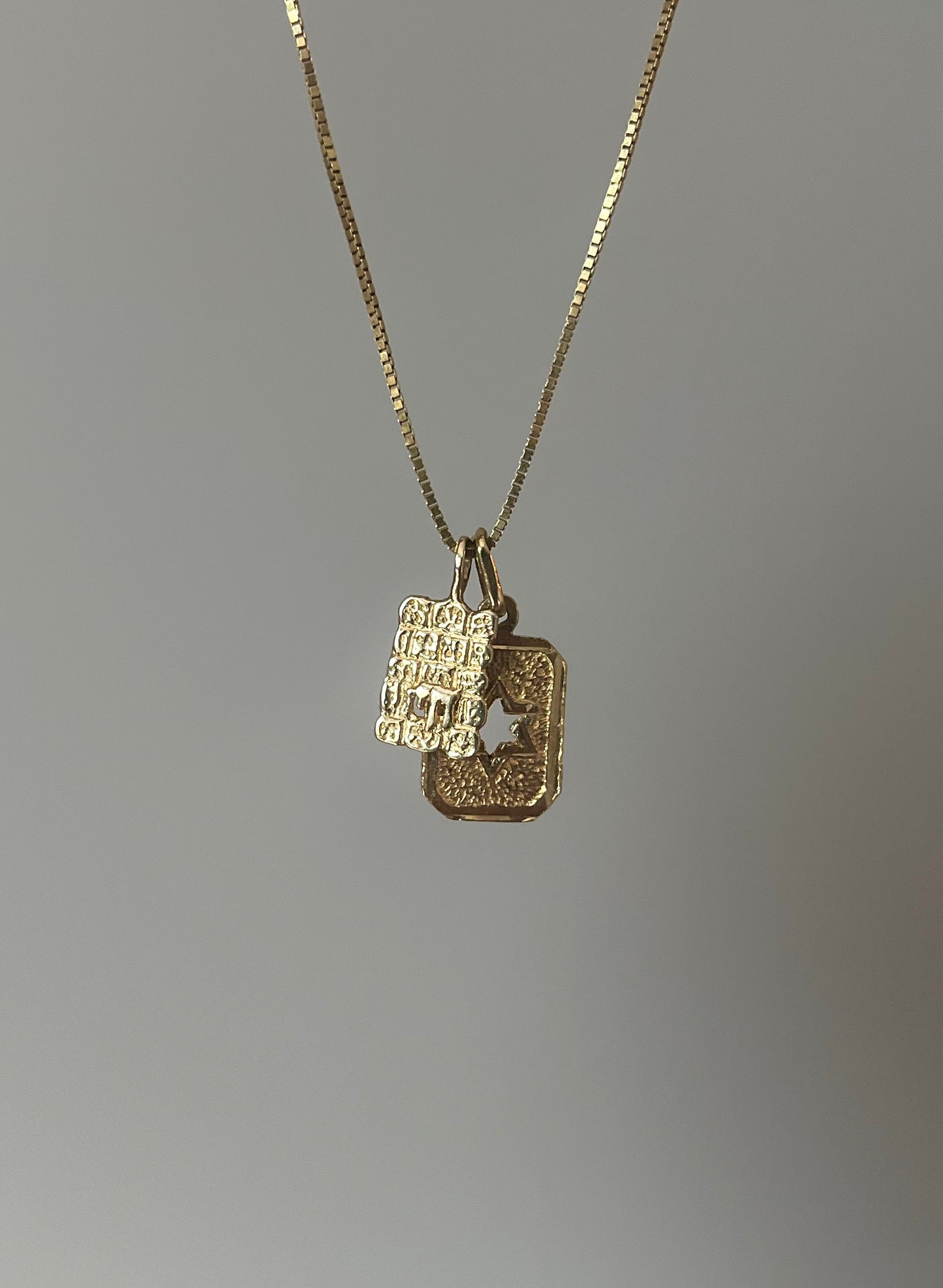 Chai on the western wall & star of david 14k Gold Necklace