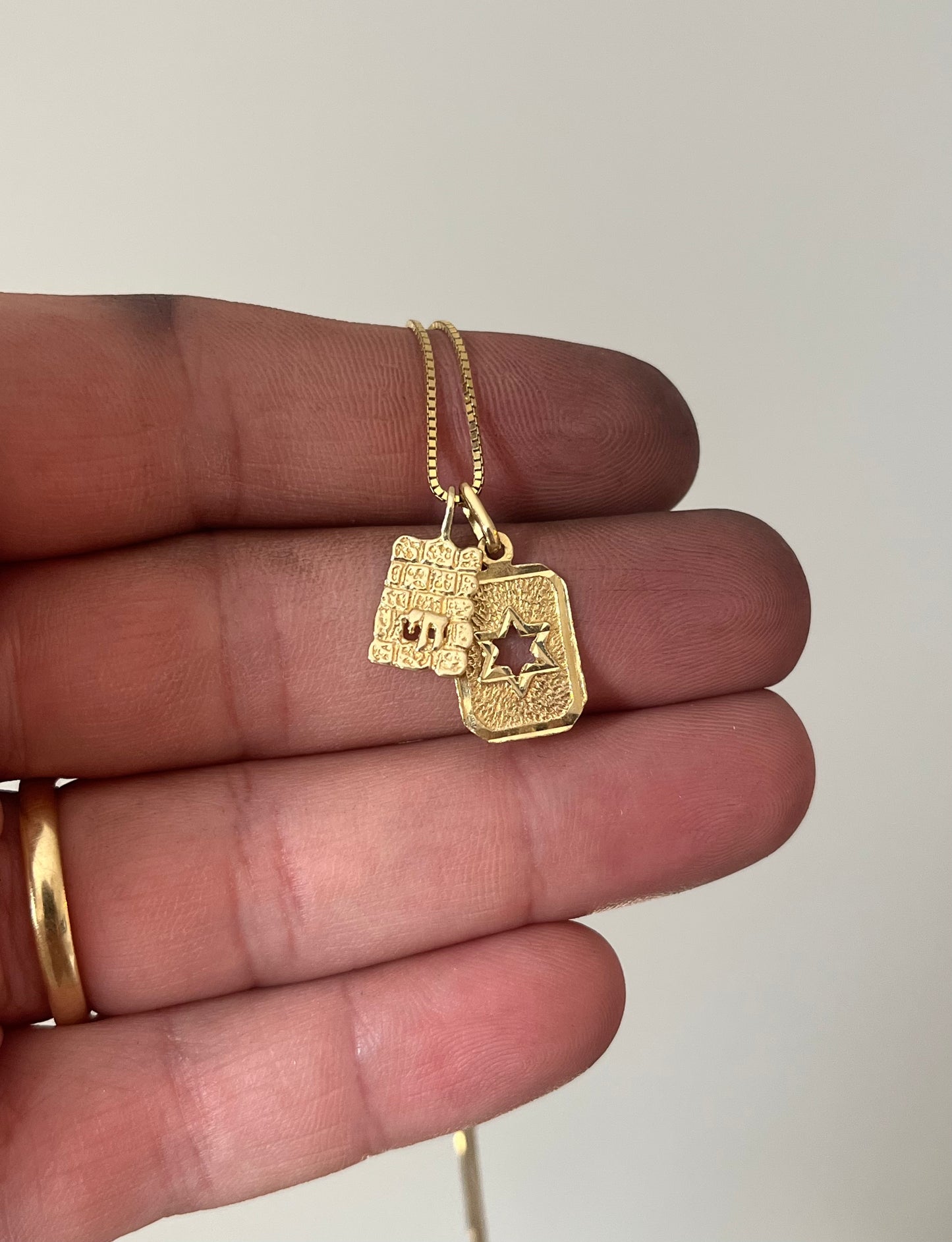 Chai on the western wall & star of david 14k Gold Necklace