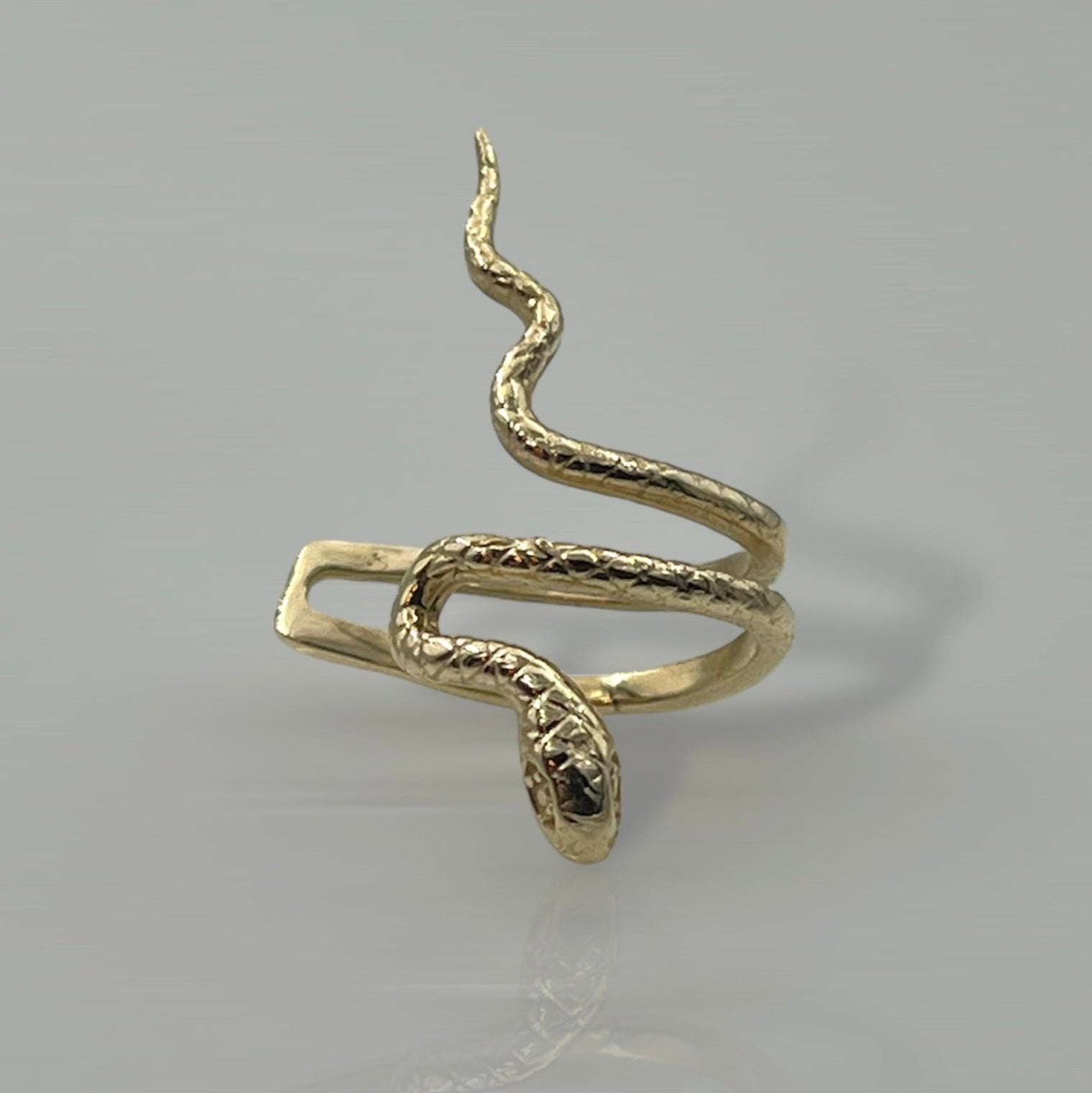 A gold huggie earring in the shape of a snake